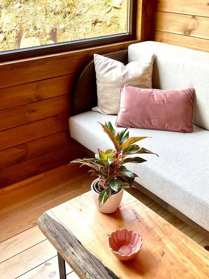 Mountain Eco Shelter 7 Hotell Funchal  0*, Funchal (Madeira)