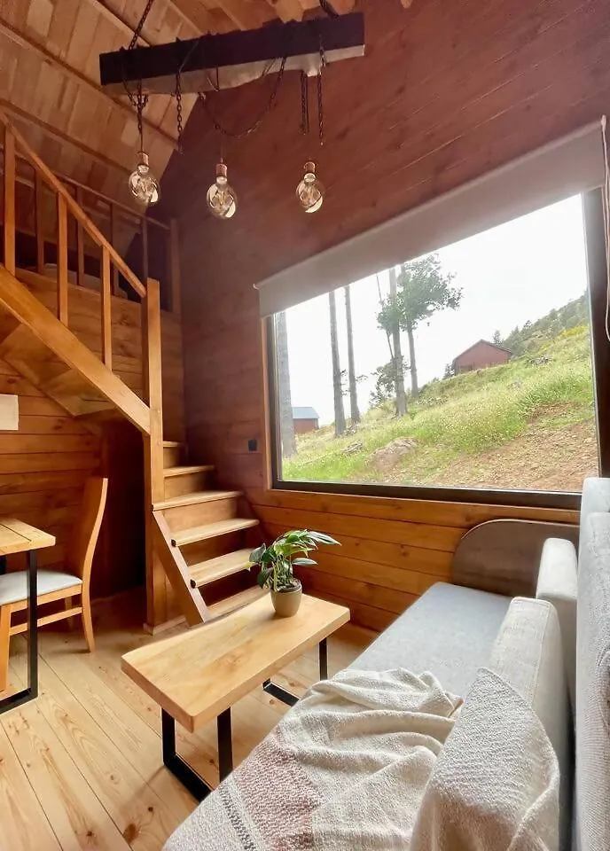 Mountain Eco Shelter 7 Hotel Funchal  Luxury tent Funchal (Madeira)